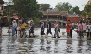 Miền Trung mưa lớn, miền Bắc nhiều mây trong tuần tới Miền Trung mưa lớn, miền Bắc nhiều mây trong tuần tới