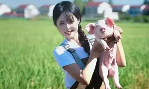 Cô gái bỏ nghề tiếp viên hàng không về quê nuôi lợn Cô gái bỏ nghề tiếp viên hàng không về quê nuôi lợn