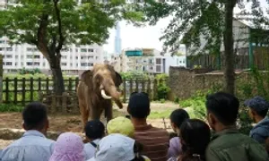 Thảo Cầm Viên lãi nhờ bán hơn 5.500 vé mỗi ngày